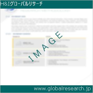 グローバルリサーチ調査レポートのイメージ